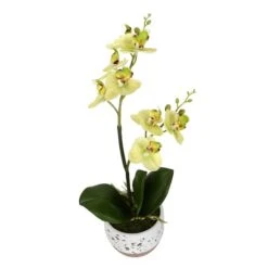 White Artificial Mini Moth Orchid In Planter Set -Flowers Michael Store D333943S 2
