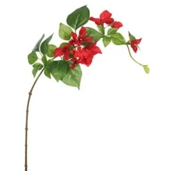 Red Bougainvillea Stem, 3ct.