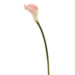 Pink Calla Lily Stem, 6ct. -Flowers Michael Store D333978S 1