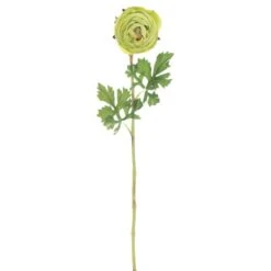 23" Green Ranunculus Artificial Stem, 4ct.