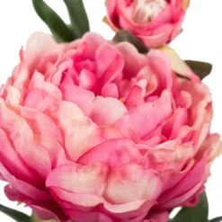 Pink Peony Spray, 3ct. -Flowers Michael Store D334018S 2