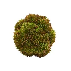 Green Sedum Succulent Spheres, 6ct. -Flowers Michael Store D350186S 13