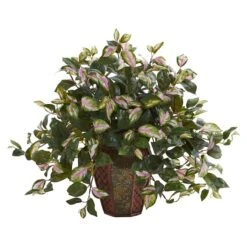20" Hoya Plant In Decorative Planter 7 20" Hoya Plant In Decorative Planter -Flowers Michael Store D350187S 11 1