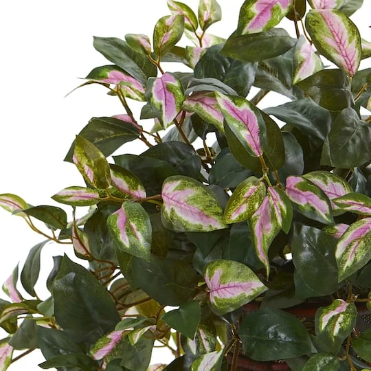 20" Hoya Plant In Decorative Planter 5 20" Hoya Plant In Decorative Planter - Image 3