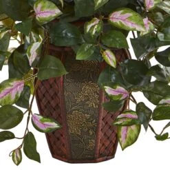 20" Hoya Plant In Decorative Planter 9 20" Hoya Plant In Decorative Planter -Flowers Michael Store D350187S 13