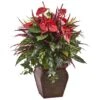 2.5ft. Mixed Laceleaf Plant In Decorative Planter -Flowers Michael Store D350193S 1