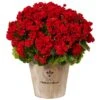 22" Red Geranium In Farmhouse Style Planter -Flowers Michael Store D350199S 11