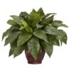 23'' Birds Nest Fern With Woven Brown Vase -Flowers Michael Store D350240S 1