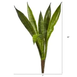 Snake Plant Pick, 6ct. -Flowers Michael Store D350246S 2