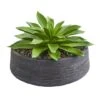 10" Large Succulent Artificial Plant In Decorative Bowl 2 10" Large Succulent Artificial Plant In Decorative Bowl -Flowers Michael Store D350300S 11