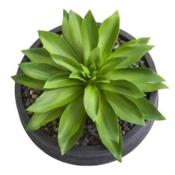 10" Large Succulent Artificial Plant In Decorative Bowl 9 10" Large Succulent Artificial Plant In Decorative Bowl -Flowers Michael Store D350300S 12