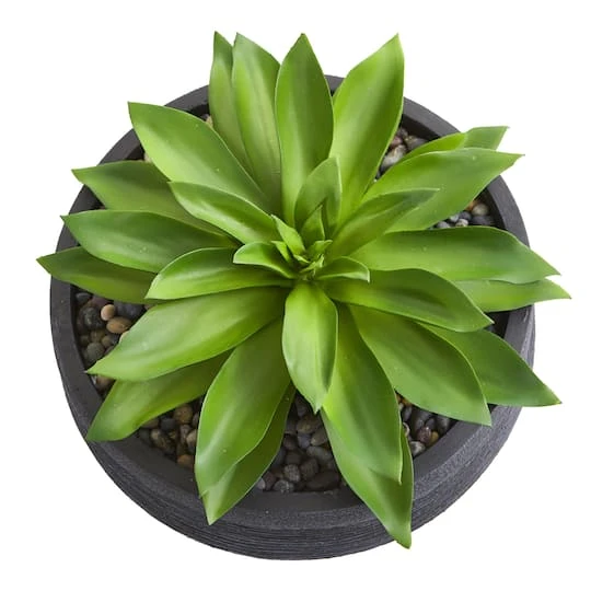 10" Large Succulent Artificial Plant In Decorative Bowl 5 10" Large Succulent Artificial Plant In Decorative Bowl - Image 3