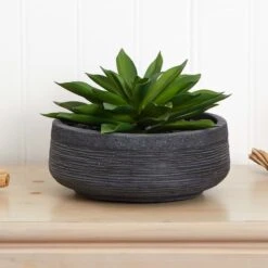 10" Large Succulent Artificial Plant In Decorative Bowl 10 10" Large Succulent Artificial Plant In Decorative Bowl -Flowers Michael Store D350300S 13