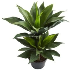 2.4ft. Potted Double Agave Succulent Artificial Plant -Flowers Michael Store D350325S 12
