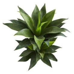 2.4ft. Potted Double Agave Succulent Artificial Plant -Flowers Michael Store D350325S 13
