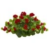 12" Geranium Ledge Plant -Flowers Michael Store D350340S 11