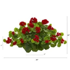12" Geranium Ledge Plant 8 12" Geranium Ledge Plant -Flowers Michael Store D350340S 12