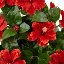 22" Hibiscus Flowering Plant In Swirl Planter -Flowers Michael Store D350363S 2