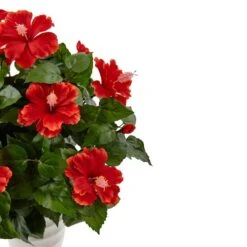 22" Hibiscus Flowering Plant In Swirl Planter -Flowers Michael Store D350363S 3
