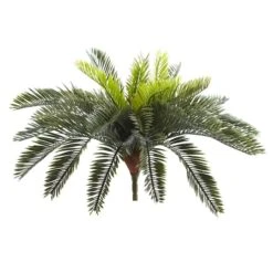 Green Cycas Pick, 2ct. -Flowers Michael Store D350389S 1 1