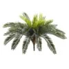 Green Cycas Pick, 2ct. -Flowers Michael Store D350389S 1