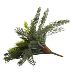 Green Cycas Pick, 2ct. -Flowers Michael Store D350389S 2