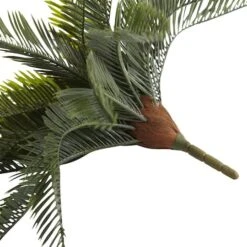 Green Cycas Pick, 2ct. -Flowers Michael Store D350389S 3