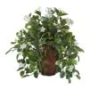 17" Stephanotis & Ivy Plant In Decorative Planter -Flowers Michael Store D350390S 1