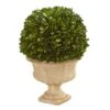 12in. Boxwood Topiary Ball In Decorative Urn -Flowers Michael Store D350409S 11