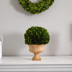 12in. Boxwood Topiary Ball In Decorative Urn -Flowers Michael Store D350409S 13