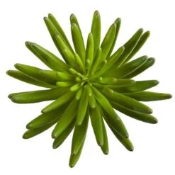 Succulent Pick, 6ct. 7 Succulent Pick, 6ct. -Flowers Michael Store D350446S 2