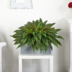 2.5ft. Boston Fern Plant In Stone Planter -Flowers Michael Store D350456S 12