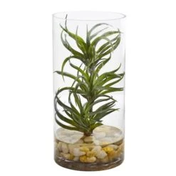 12" Air Plant In Glass Vase -Flowers Michael Store D350457S 1 1