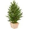 3ft. UV Resistant Olive Cone Topiary Tree In Terra Cotta Planter -Flowers Michael Store D350475S 11