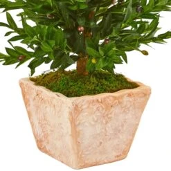 3ft. UV Resistant Olive Cone Topiary Tree In Terra Cotta Planter 9 3ft. UV Resistant Olive Cone Topiary Tree In Terra Cotta Planter -Flowers Michael Store D350475S 13