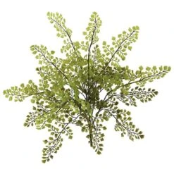 Maiden Hair Fern Spray, 12ct. 7 Maiden Hair Fern Spray, 12ct. -Flowers Michael Store D350481S 2