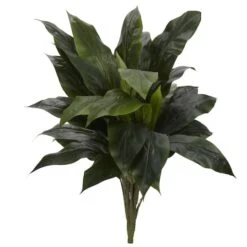 Green Cordyline Pick, 3ct. -Flowers Michael Store D350507S 1 1
