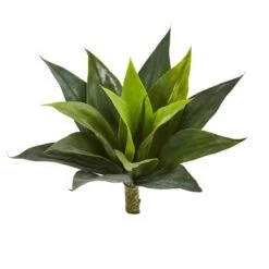 Agave Succulent Pick, 6ct. 5 Agave Succulent Pick, 6ct. -Flowers Michael Store D350545S 1 1