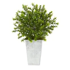 19in. Boxwood Plant In Embossed White Planter -Flowers Michael Store D350655S 1 1