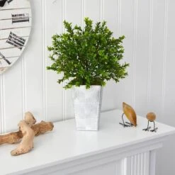 19in. Boxwood Plant In Embossed White Planter -Flowers Michael Store D350655S 3