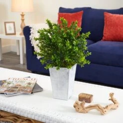 19in. Boxwood Plant In Embossed White Planter -Flowers Michael Store D350655S 4