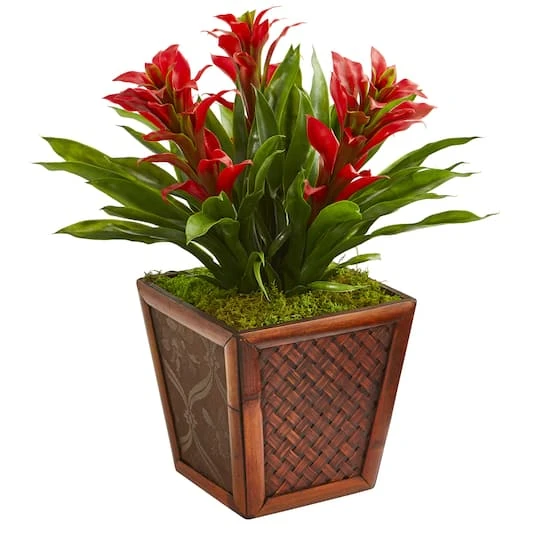 18'' Red Triple Bromeliad Plant In Brown Decorative Planter 4 18'' Red Triple Bromeliad Plant In Brown Decorative Planter - Image 2