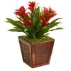 18'' Red Triple Bromeliad Plant In Brown Decorative Planter