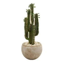 2.5ft. Cactus In Bowl Planter