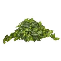 13" Arrowhead Ledge Plant 6 13" Arrowhead Ledge Plant -Flowers Michael Store D350844S 1 1