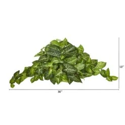 13" Arrowhead Ledge Plant 7 13" Arrowhead Ledge Plant -Flowers Michael Store D350844S 2