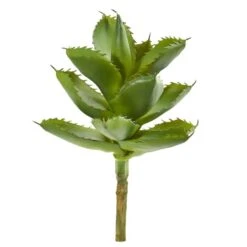 Green Succulent Pick, 6ct. 6 Green Succulent Pick, 6ct. -Flowers Michael Store D350851S 1 1