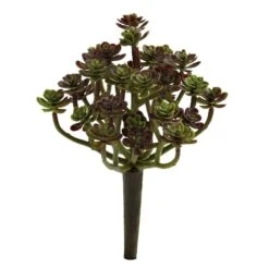 Sedum Succulent Plant, 8ct. 6 Sedum Succulent Plant, 8ct. -Flowers Michael Store D350942S 1 1