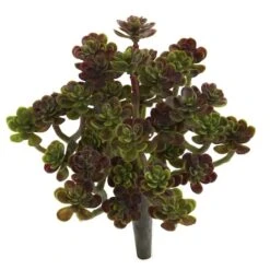 Sedum Succulent Plant, 8ct. 7 Sedum Succulent Plant, 8ct. -Flowers Michael Store D350942S 2
