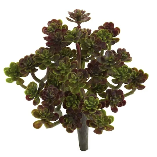 Sedum Succulent Plant, 8ct. 5 Sedum Succulent Plant, 8ct. - Image 3